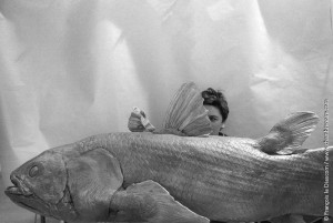 Restoration of a fish, Gallery of Zoology, Paris, France