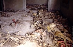 Ossements et cadavres momifiés